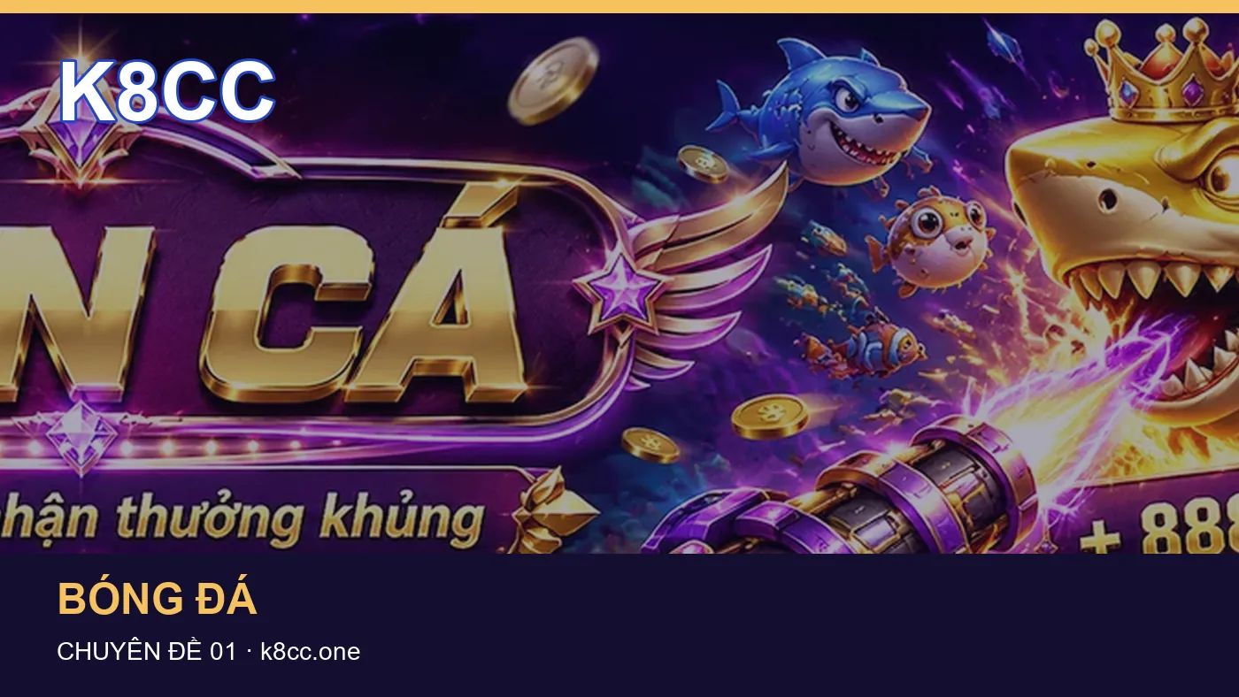 Hình minh họa bài viết K8CC